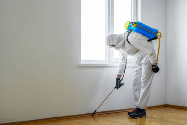 Best Cockroach Control Services  in Carrollton, AL