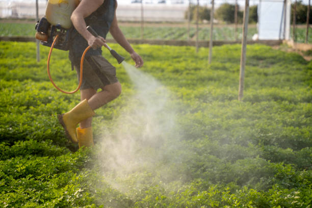 Pest Control for Restaurants in Carrollton, AL