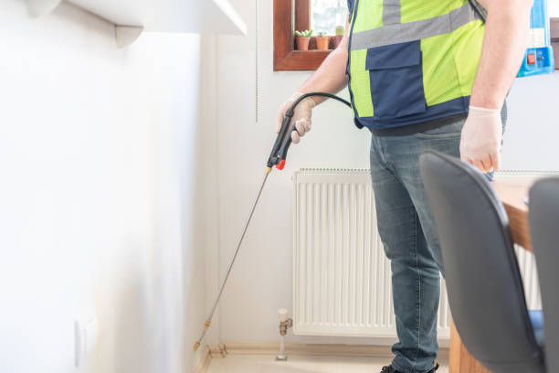 Best Pest Control Treatment  in Carrollton, AL