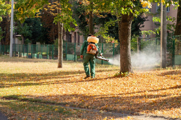 Best Insect Control  in Carrollton, AL