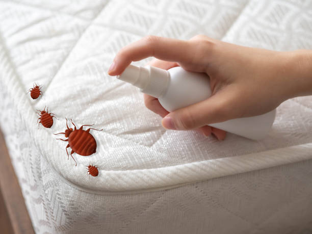 Best Flea Control Services  in Carrollton, AL