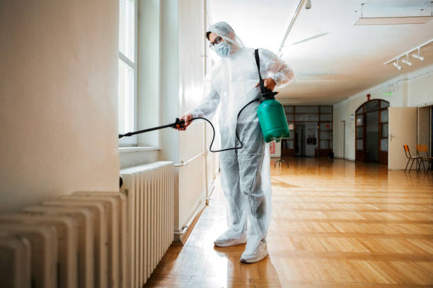 Best Termite Control Services  in Carrollton, AL