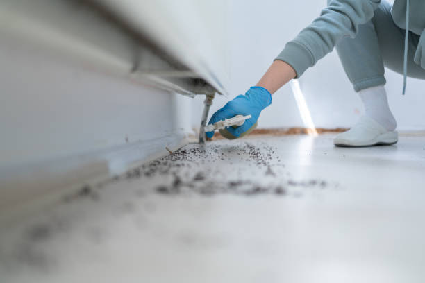 Best Wasp Removal Services  in Carrollton, AL