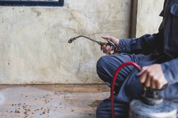 Best Pest Control Near Me  in Carrollton, AL